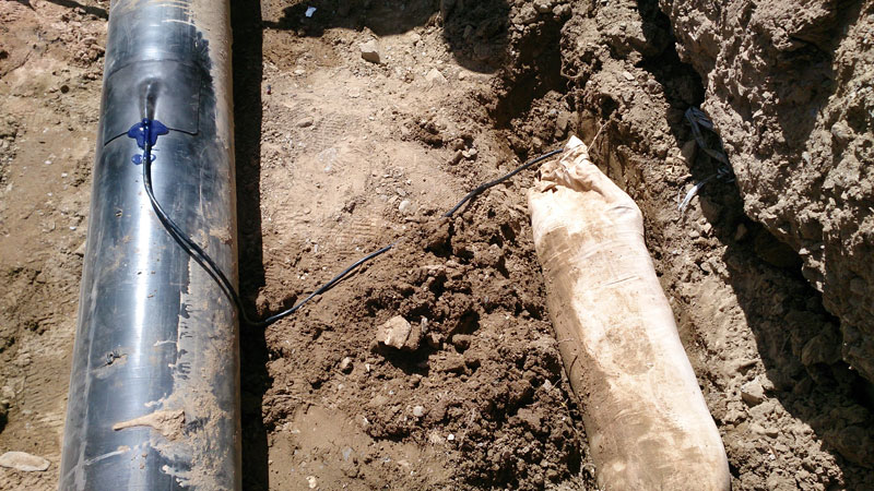 数字化管道菠萝蜜黄色网站设计及运行、维护(图4)